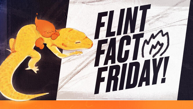 illustration of wispggs mascot, flint, napping with his pet leopard gecko on weekly "flint fact friday" background graphic (background graphic not by sqwggy).